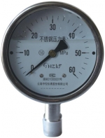 YN100BF耐震不锈钢压力表